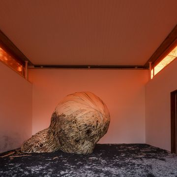 biennale arte venezia 2022 padiglione della svizzera