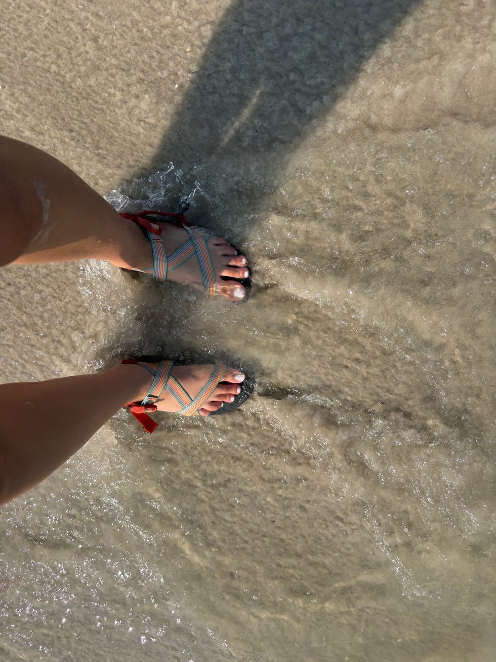 cavallo walking over shells in the ocean while wearing the chaco ﻿z cloud cushioned sandal