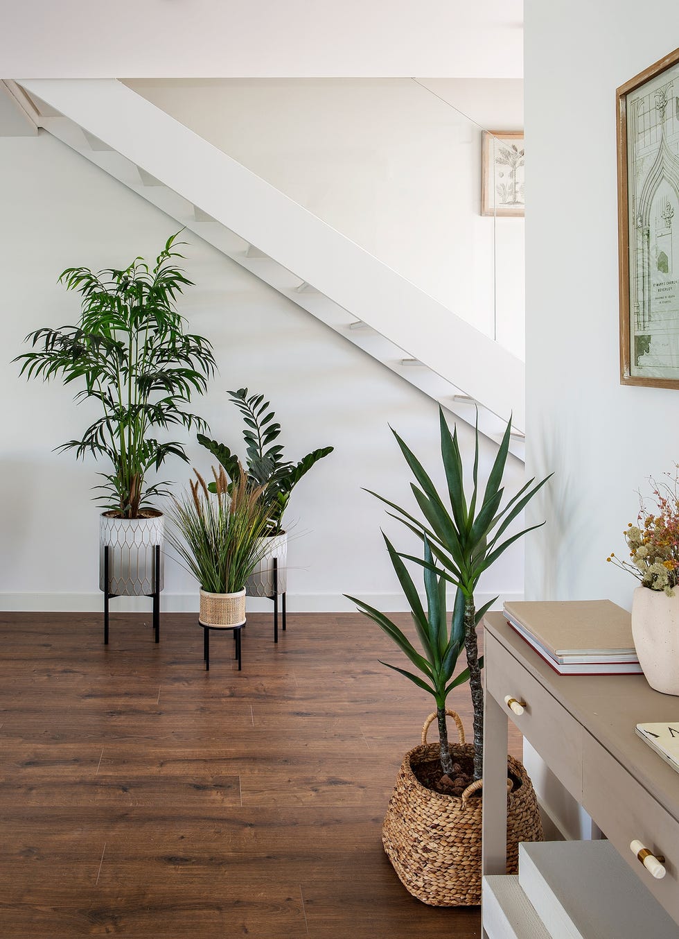recibidor decorado con plantas