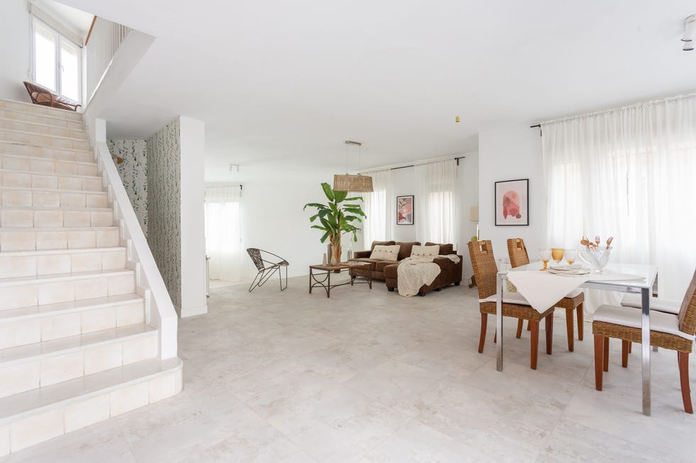 salón comedor con sofá con chaise longue marrón, palmera y sillas de fibras