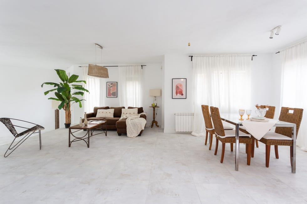salón comedor con sofá con chaise longue marrón, palmera y sillas de fibras