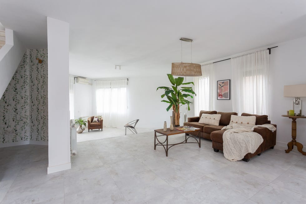 salón con sofá con chaise longue marrón y palmera