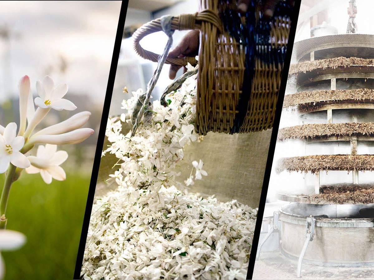 From flower to fragrance: the craftsmanship of a Chanel perfume
