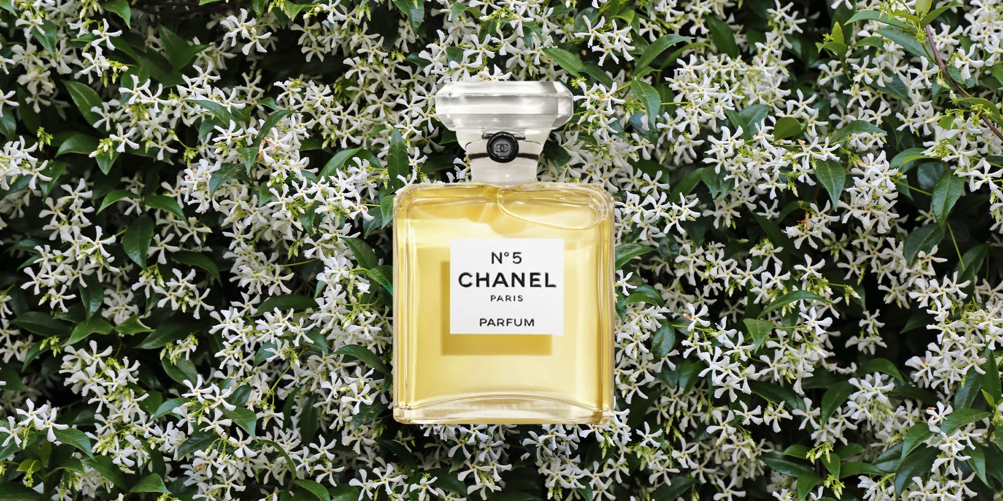 Chanel no 5 floral on sale