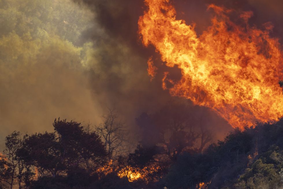 goleta, ca   october 13 flames chew through chaparral brush at the alisal fire on october 13, 2021 near goleta, california pushed by high winds, the fire grew to 6,000 acres overnight, shutting down the much traveled 101 freeway along the pacific coast photo by david mcnewgetty images