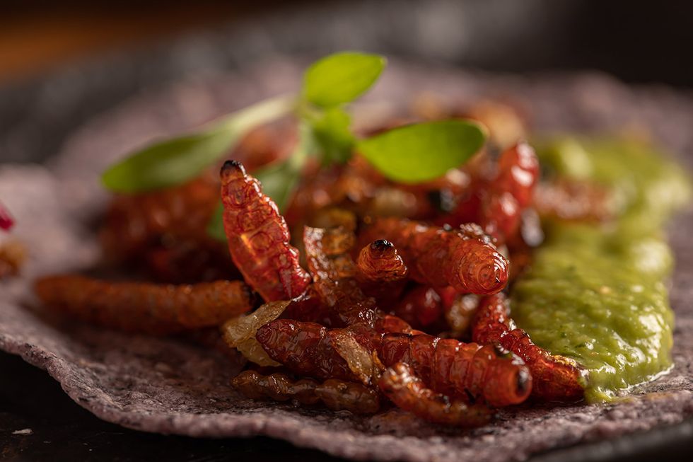 plato con insectos del restaurante mexicano bakan de madrid