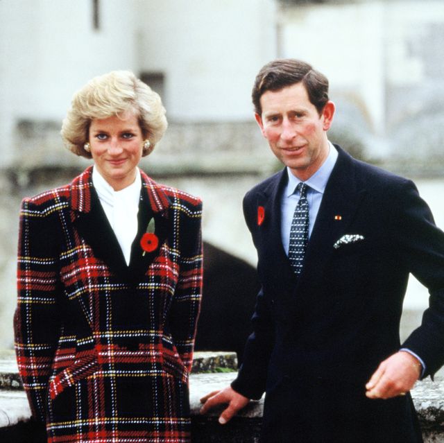 charles and diana in france