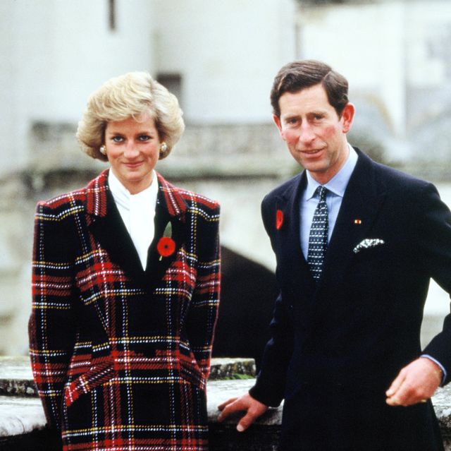 charles and diana in france