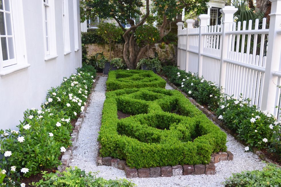 18th century charleston, south carolina, home design by ben lenhardt a double border of white gardenias embraces geometric kingsville littleleaf boxwood, with an old ligustrum tree standing guard above two gardenia standards