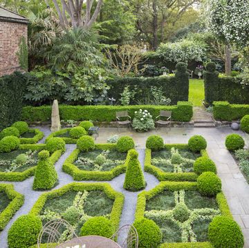 18th century charleston, south carolina, home design by ben lenhardt in the parterre garden, kingsville boxwood borders with corner globes of japanese boxwood frame variegated asiatic jasmine knots and smaller spheres of oregano
