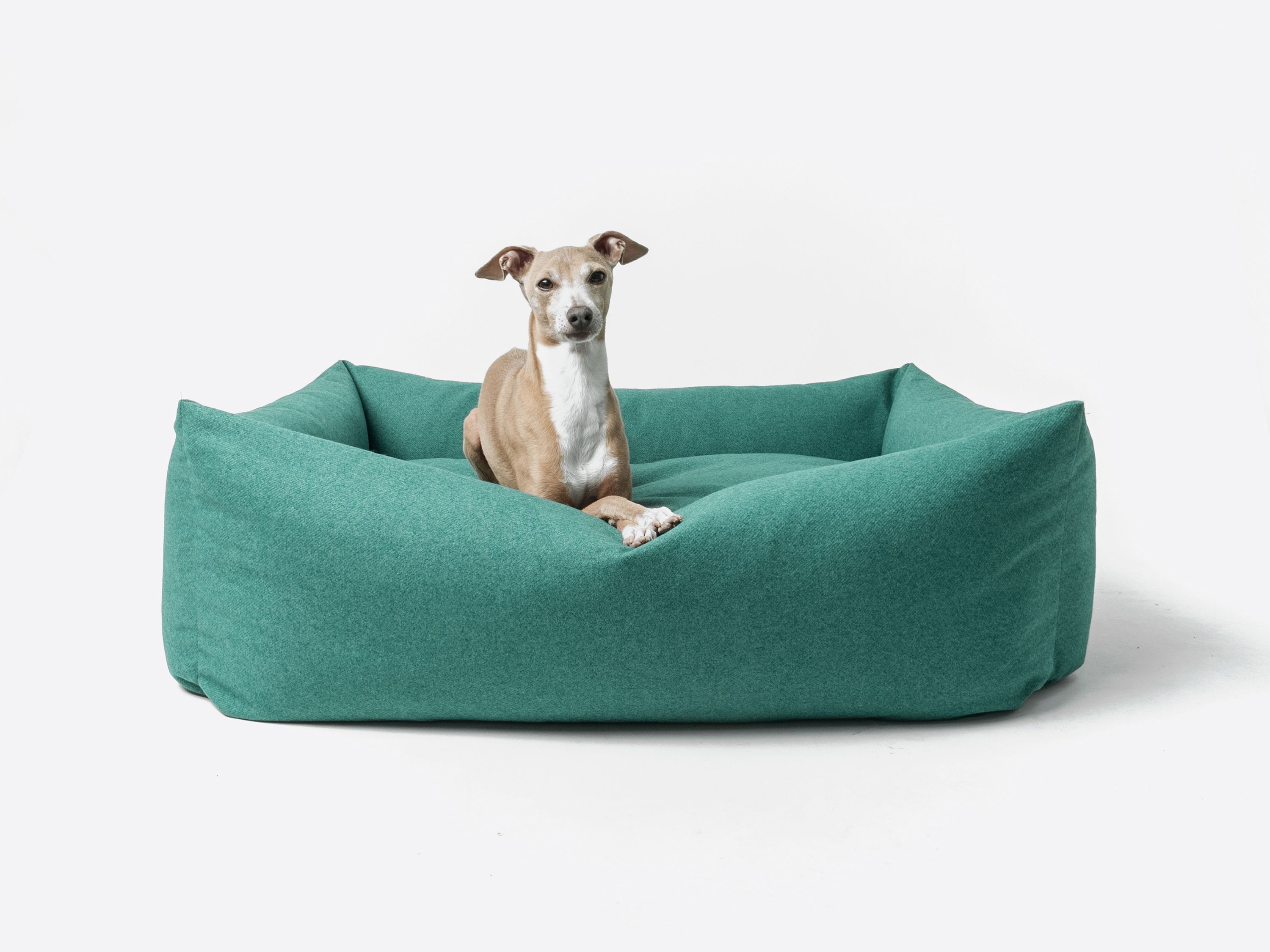 Best Luxury Pet Accessories 2023 - The Luxury Editor