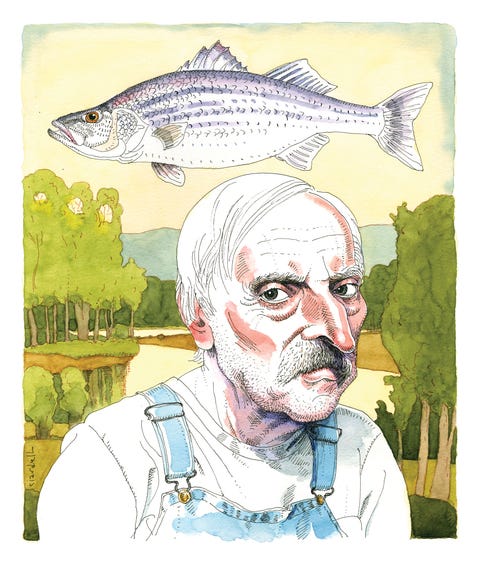 illustration of russell chatham