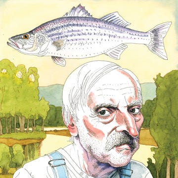 illustration of russell chatham illustration of russell chatham
