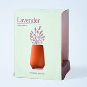 cheap valentines gifts for women cheap valentines gifts for women