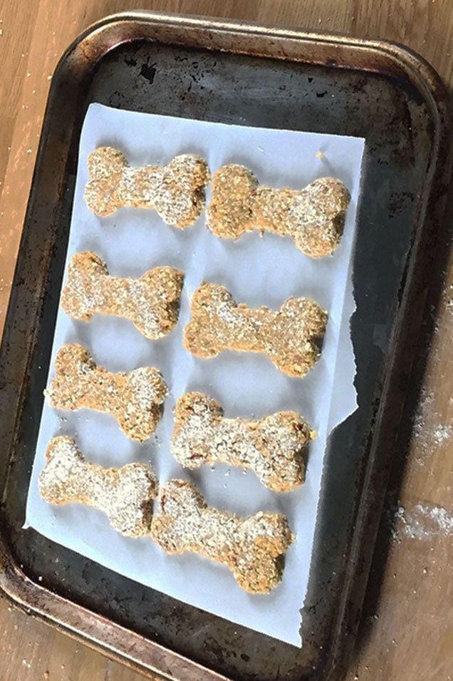 Frozen Dog Treats using only 3 Ingredients - Live Laugh Rowe