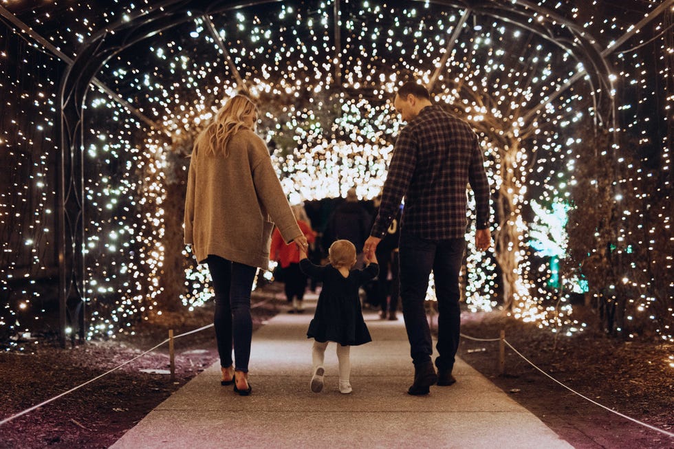 a group of people walking through a christmas tree a group of people walking through a christmas tree
