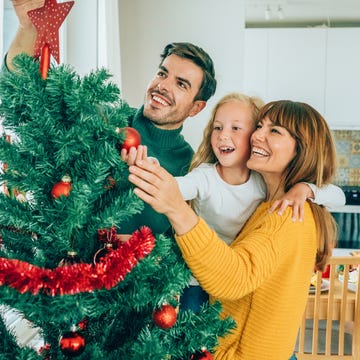 Christmas tree care guide