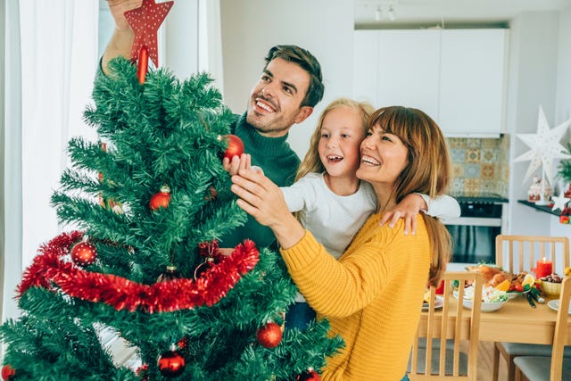 Christmas tree care guide