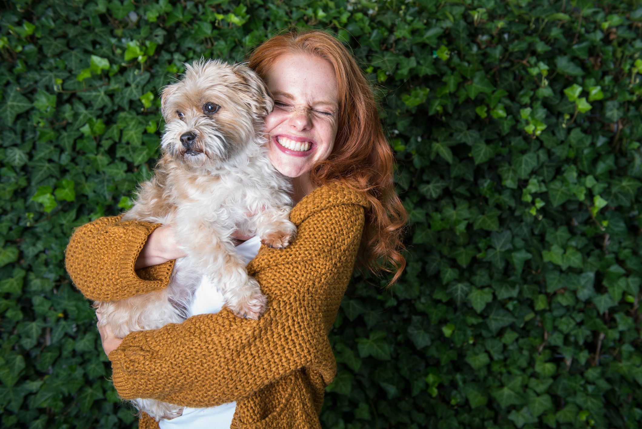 Golden Retrievers: Why these positive pups are the perfect family breed