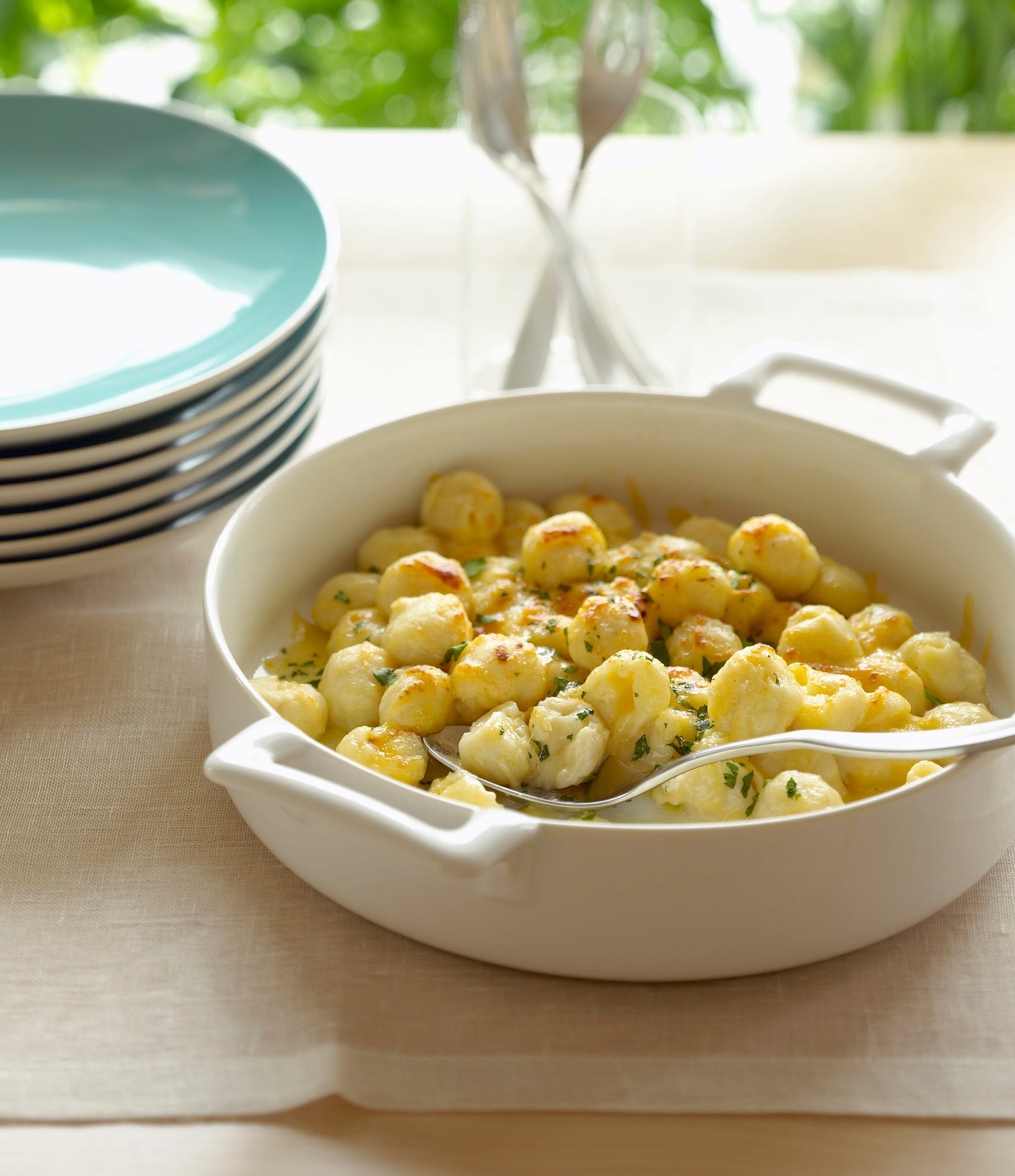 cheese gnocchi, close up