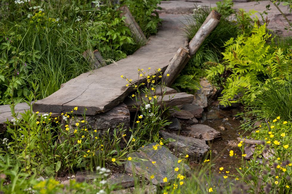 chelsea flower show best show garden 2022 a rewilding britain's landscape garden