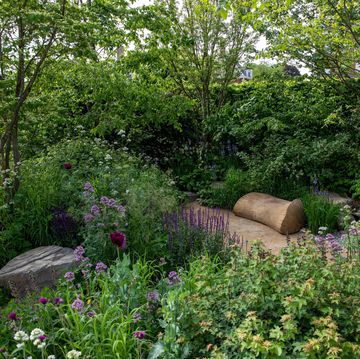 the place2be securing tomorrow garden designed by jamie butterworth  rhs chelsea flower show 2022