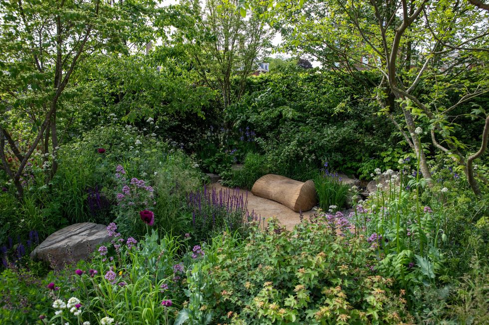 the place2be securing tomorrow garden designed by jamie butterworth  rhs chelsea flower show 2022