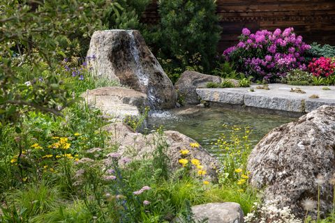chelsea flower show 2022   sanctuary garden