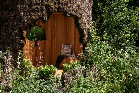 chelsea flower show 2022   sanctuary garden