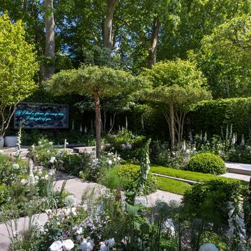 the perennial garden ‘with love’ designed by richard miers sponsored by perennial – helping people in horticulture show garden rhs chelsea flower show 2022