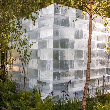 chelsea flower show 2022  the plantman’s ice garden  sanctuary garden