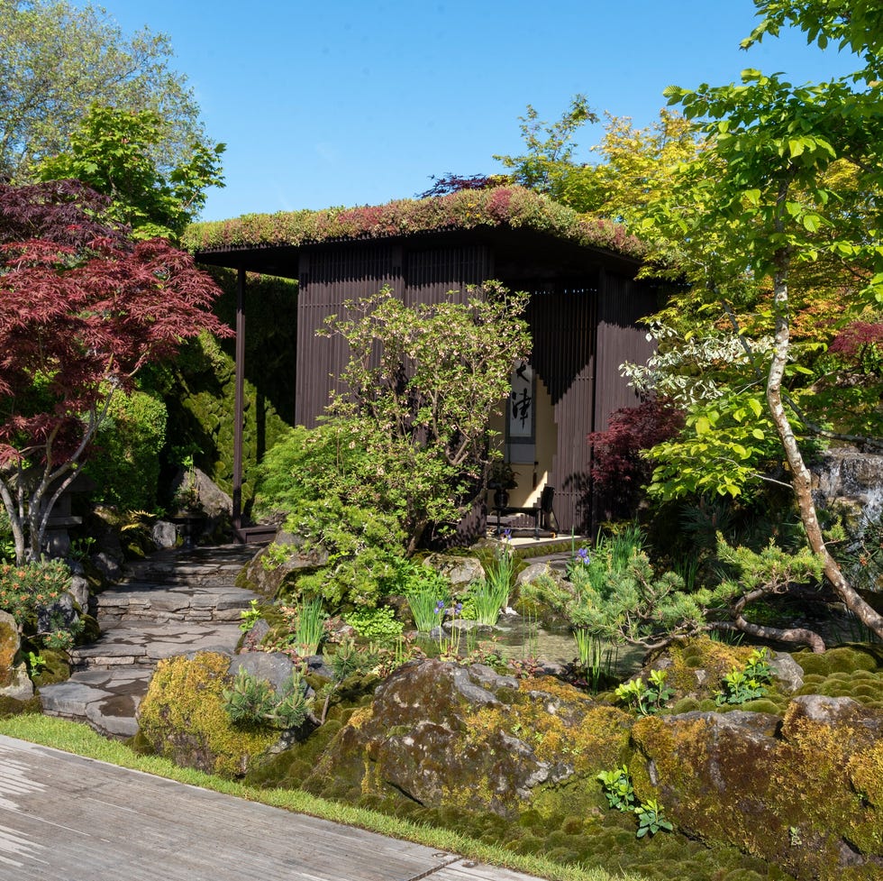 chelsea flower show 2023 gardening garden design