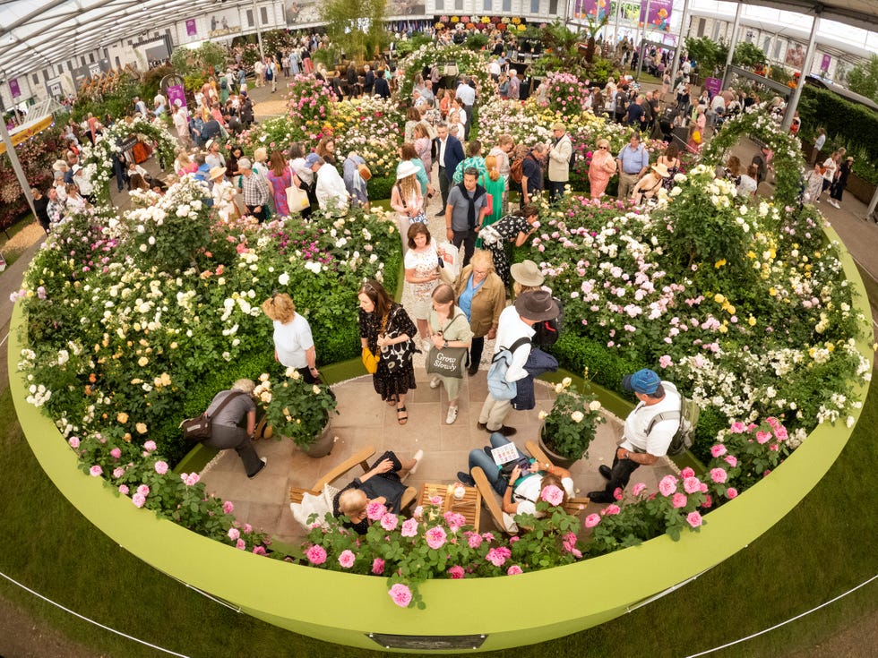 Chelsea Flower Show 2024: Tickets, Dates, Gardens