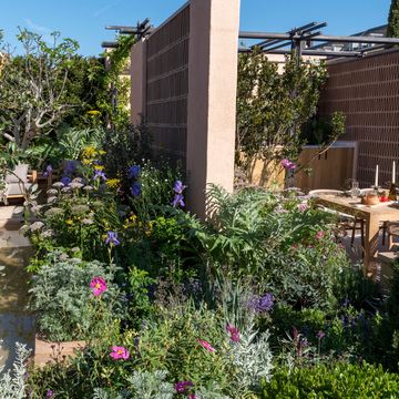 mediterranean garden ideas – chelsea flower show 2023 hamptons mediterranean garden