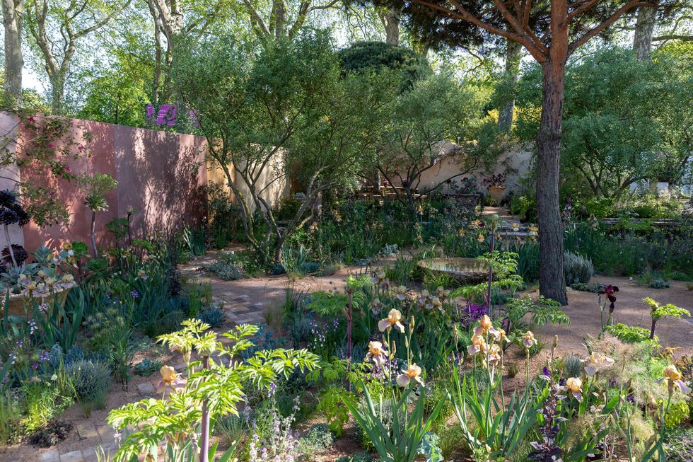 chelsea flower show 2023 nurture landscapes garden designed by sarah price