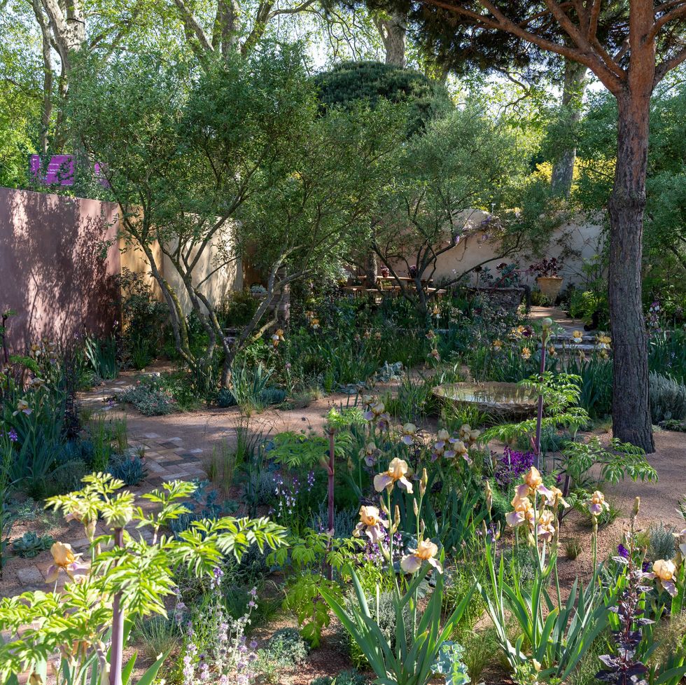 chelsea flower show 2023 gardening garden design nurture landscapes