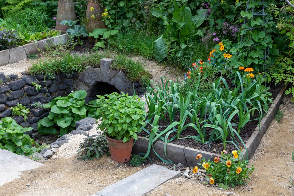 chelsea flower show 2023 gardening savills garden design