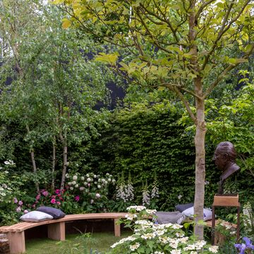 rhs garden of royal reflection and celebration designed by dave green feature garden rhs chelsea flower show 2023 stand no 111