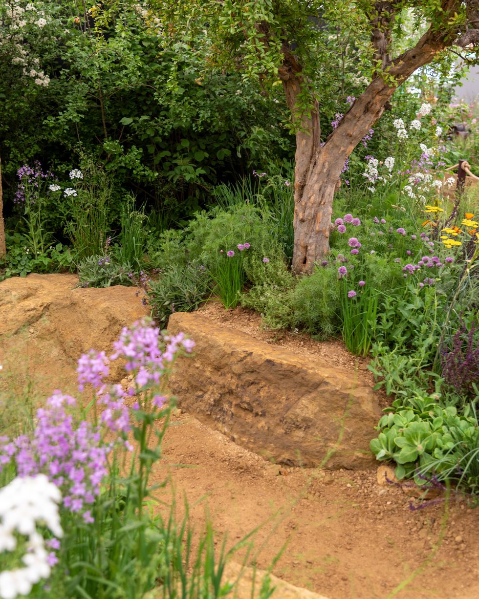 chelsea flower show 2023 gardening garden design