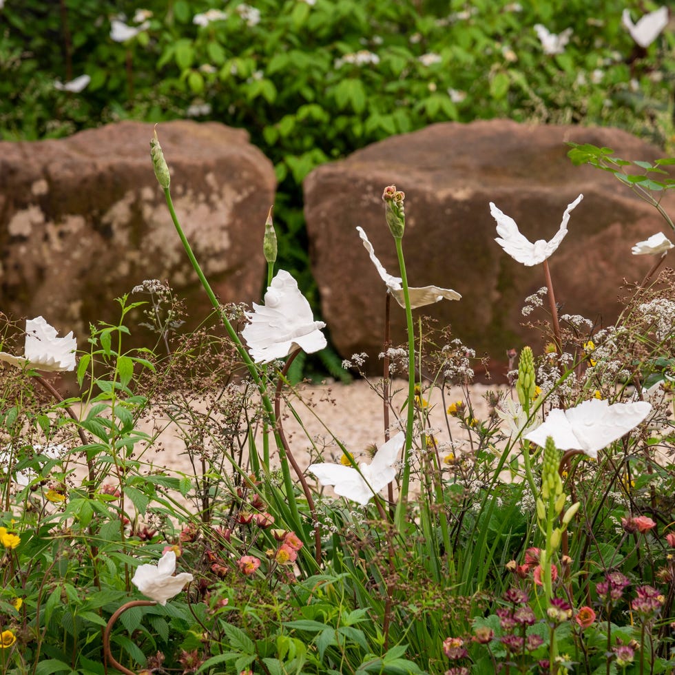 chelsea flower show 2023 gardening garden design