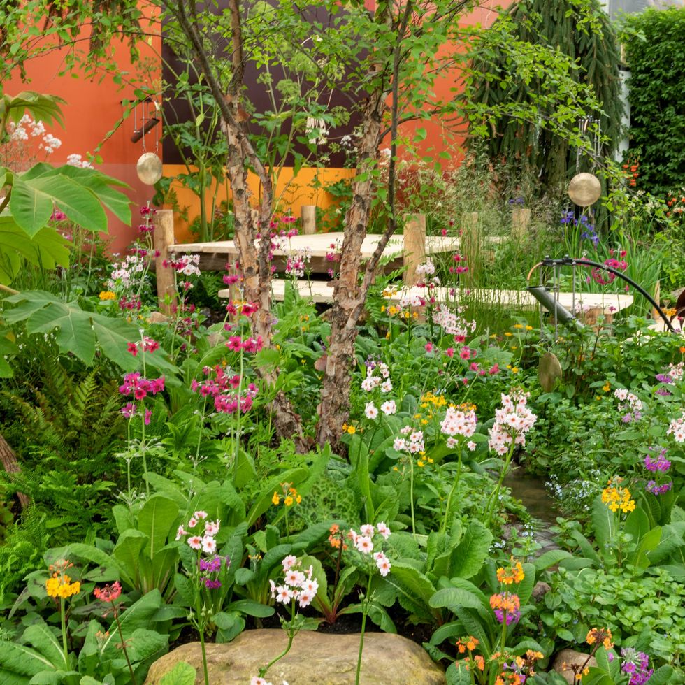chelsea flower show 2023 gardening garden design