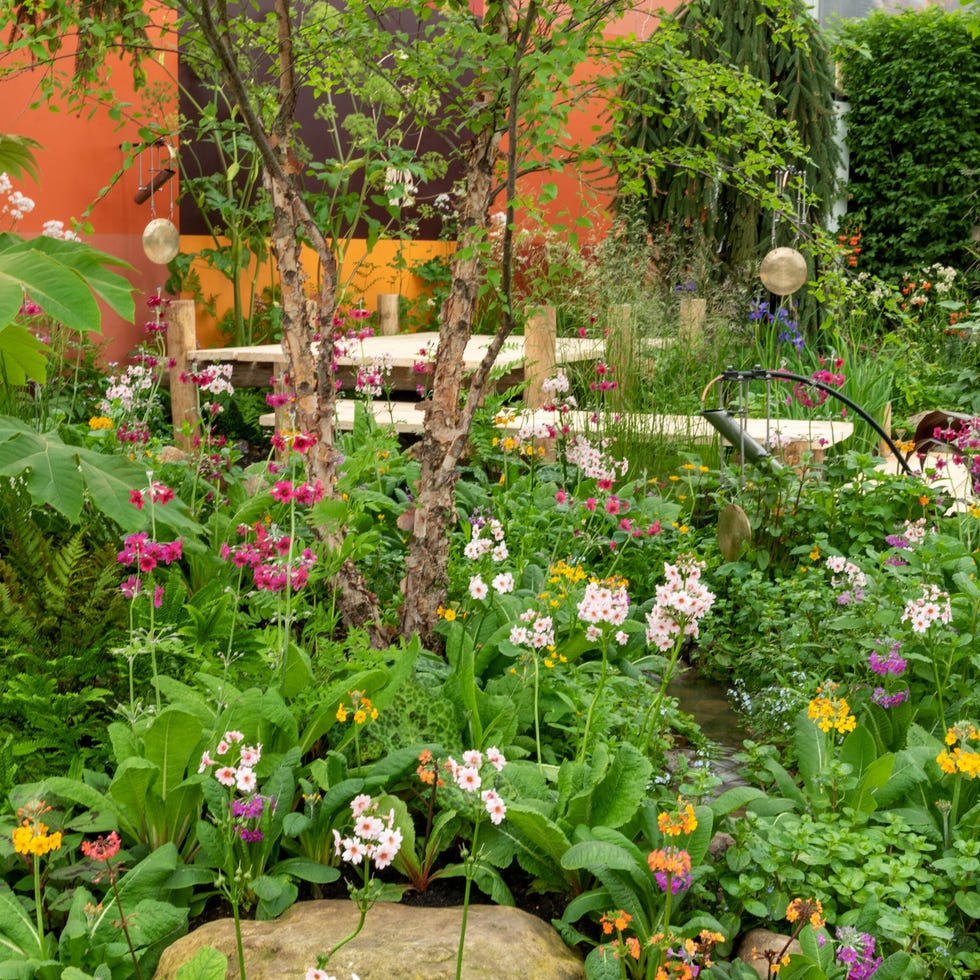 chelsea flower show 2023 gardening garden design