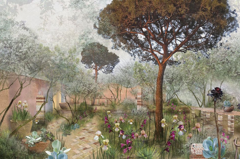 chelsea flower show 2023 show garden