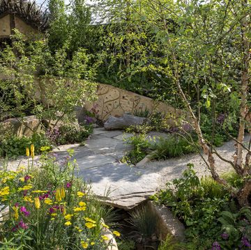 the rhs no adults allowed garden designed by harry holding sponsored by rhs feature garden rhs chelsea flower show 2024