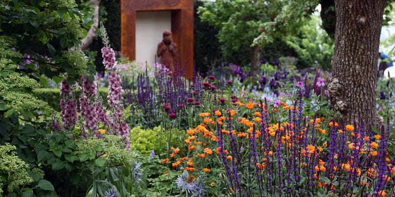 RHS Chelsea Flower Show 2023: everything you need to know