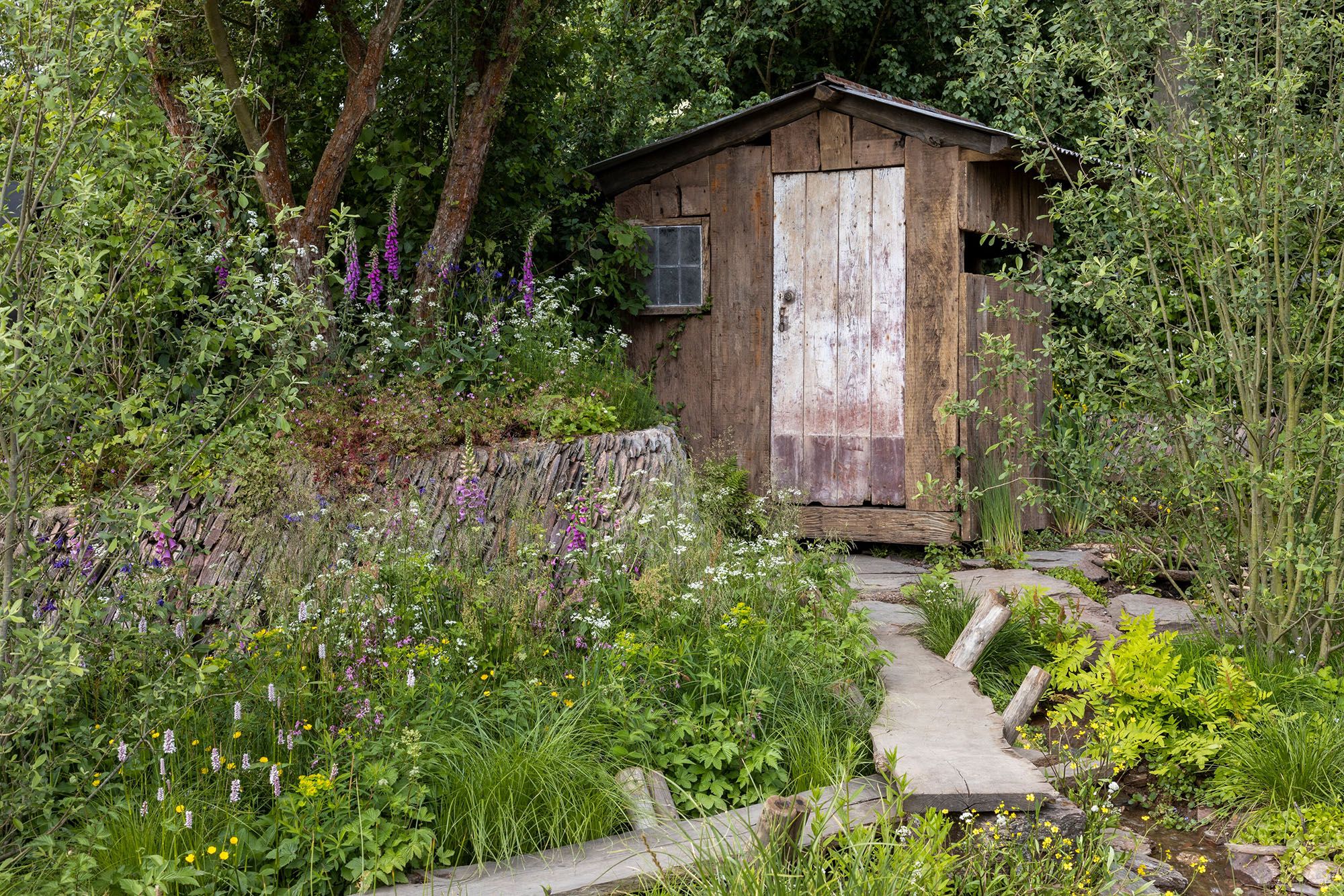 Profile: A Rewilding Britain Landscape' Garden at Chelsea Flower