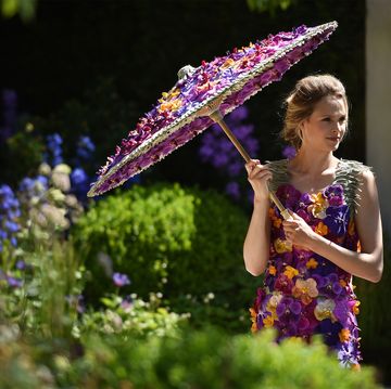 chelsea flower show plant of the year winners