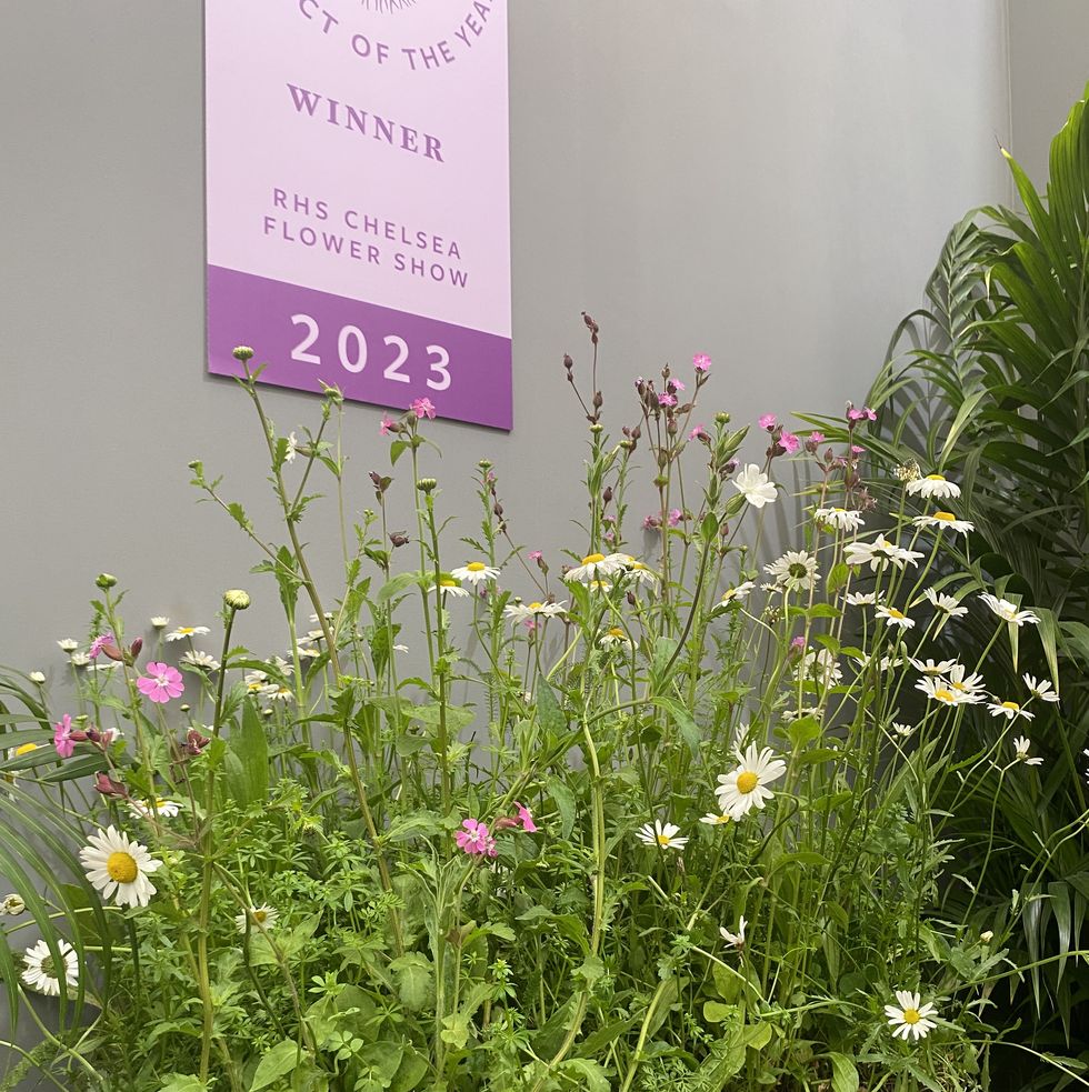 rhs announce winner of sustainable garden product of the year award
