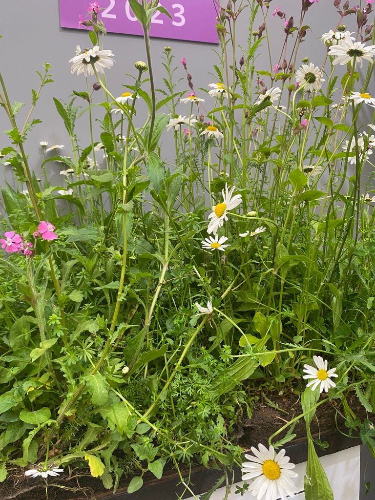 Chelsea Flower Show 2023: Sustainable Garden Product Winner