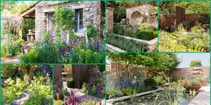 Garden, Vegetation, Natural landscape, Yard, Plant, Flower, Landscaping, Botany, Landscape, Shrub, 